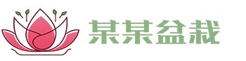 米乐m6·(中国)官方APP下载